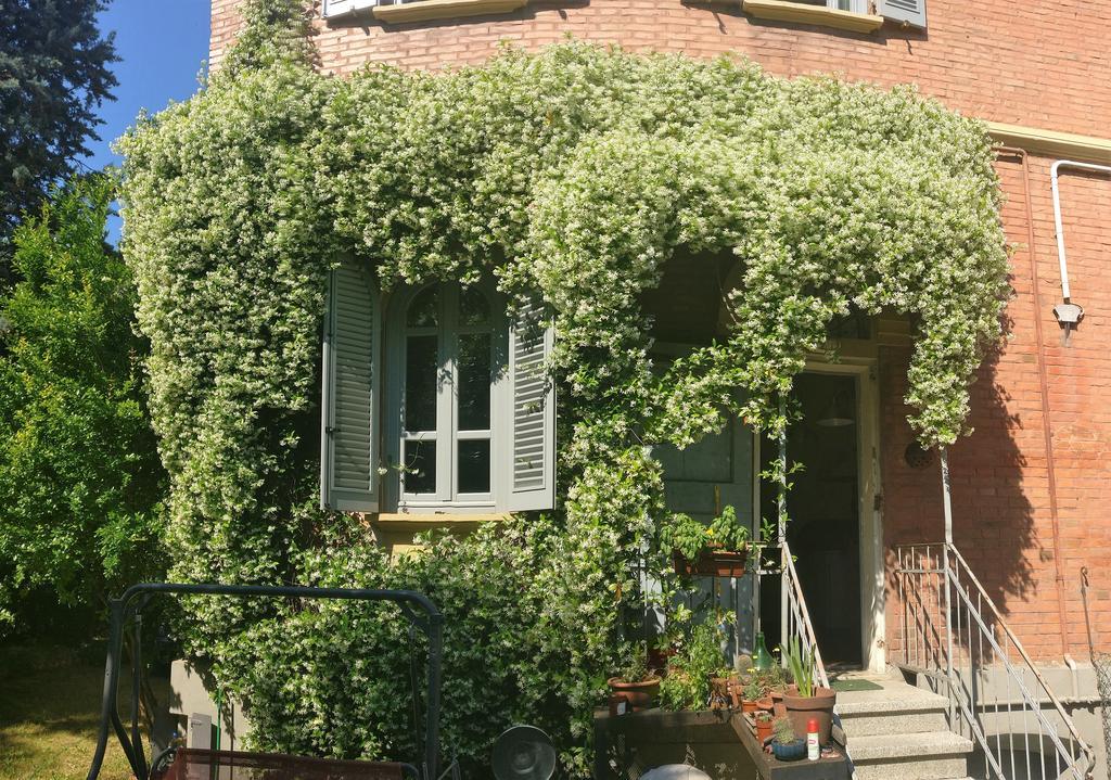 Hotel I 4 Gatti Bologna Exterior foto